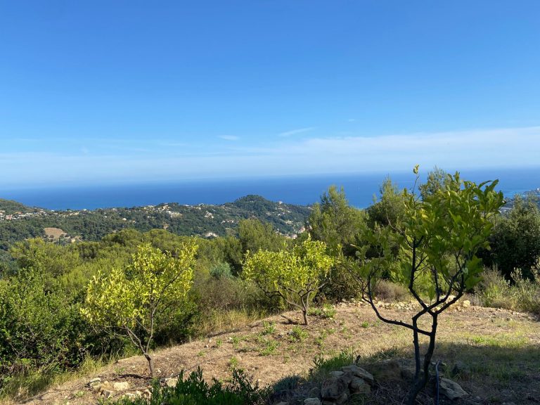 Villa A rénover Côte d'azur , land 4800m² ISM Property