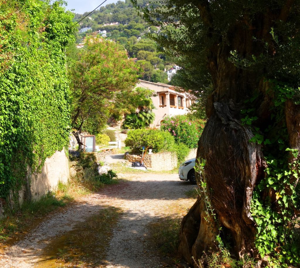 Villa Roquebrune-Cap-Martin 170m² Near MONACO, pool , garden ISM Property