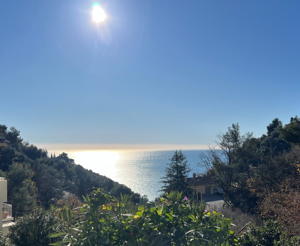 sea view, villa near Monaco ISM Property
