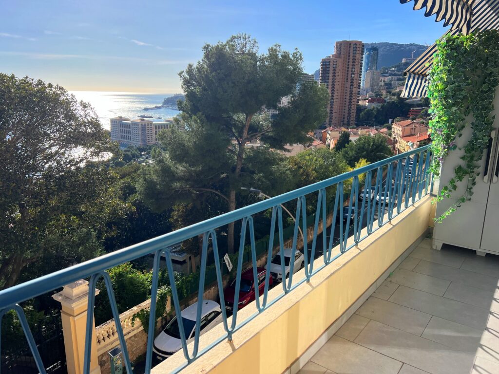 Vue mer , Limitrophe Monaco ISM Property