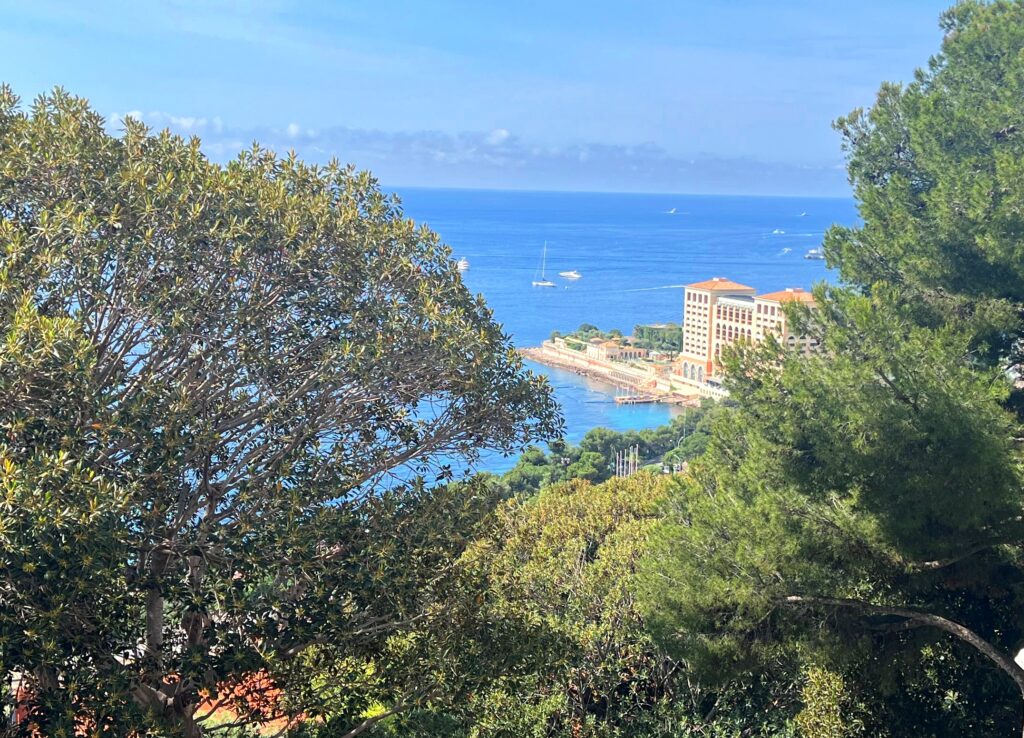 Open sea view, border Monaco ISM Property