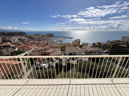 A pieds des plages et a Monaco ISM Property