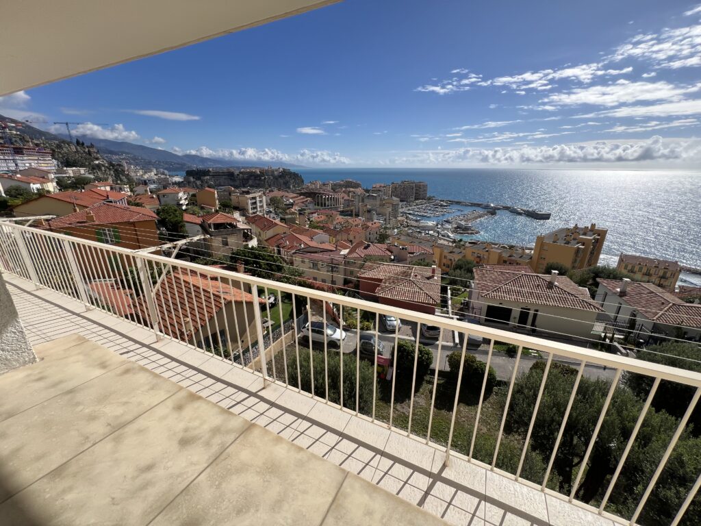 A pieds des plages et a Monaco ISM Property