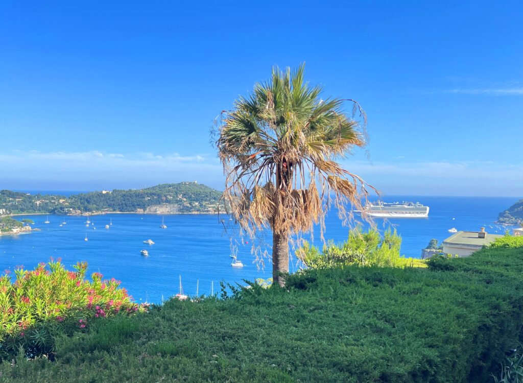 Unique, vue de Baie des Anges ISM Property