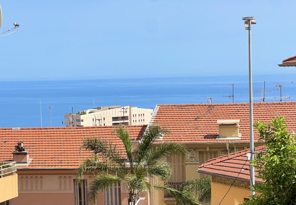 Limitrophe Monaco ISM Property