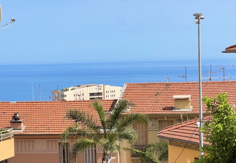 Limitrophe Monaco ISM Property