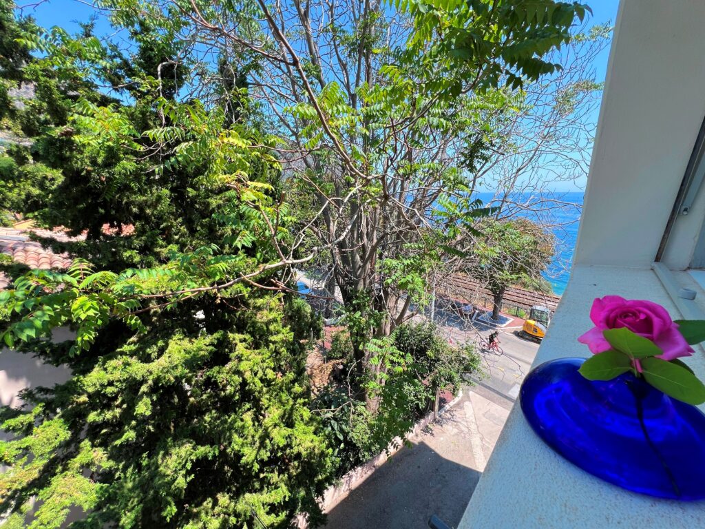 Open view, walk distance to the beaches in Eze sur mer ISM Property