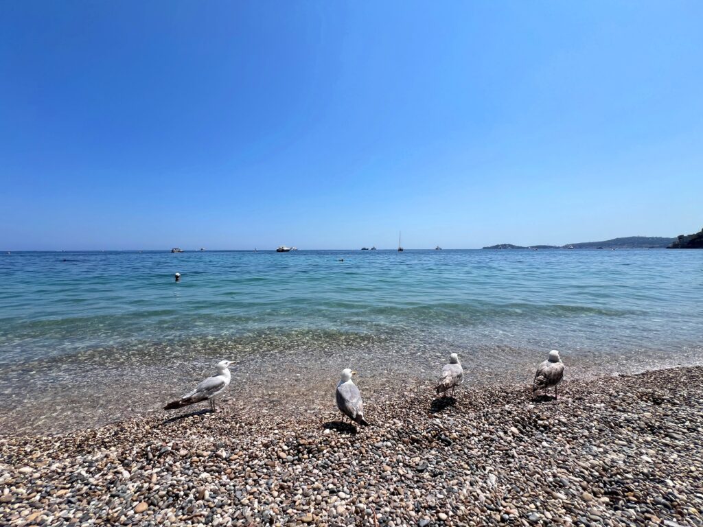 A pieds des plages, calme, vue ISM Property