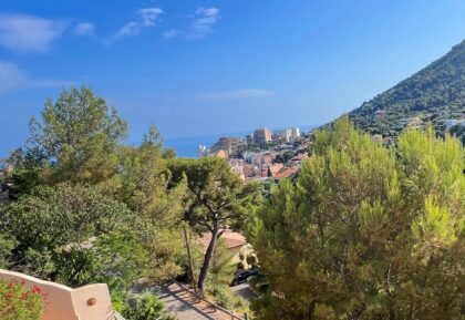 Near Monaco, quiet area, villa in the Domain ISM Property