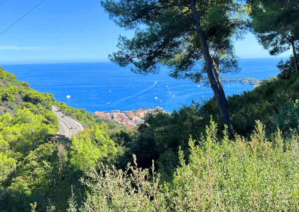 Sea view, near town , near Saint Jean Cap Ferrat ISM Property