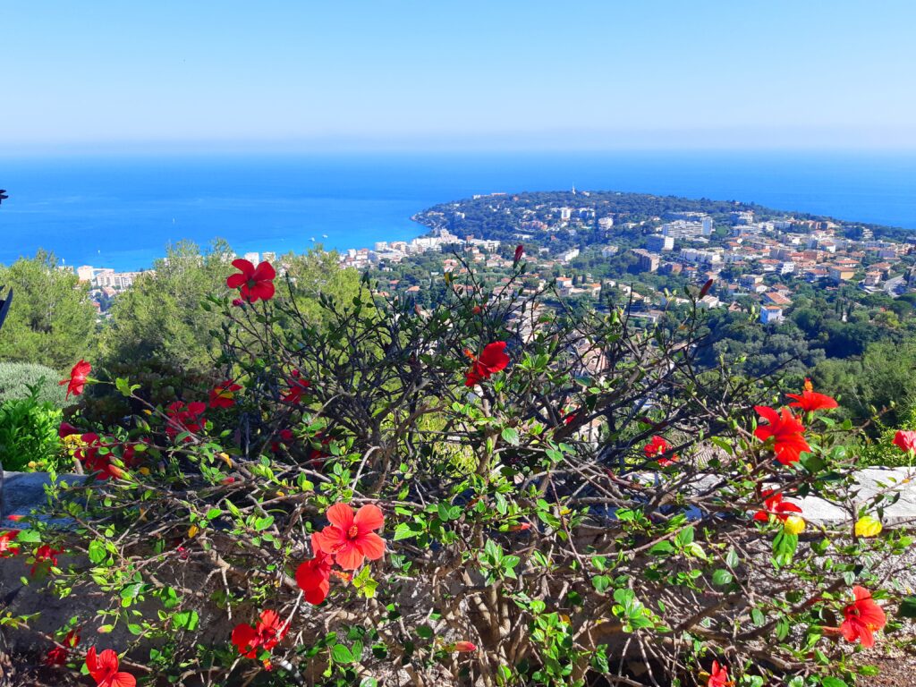 Vue mer panoramique , villa proche Monaco ISM Property