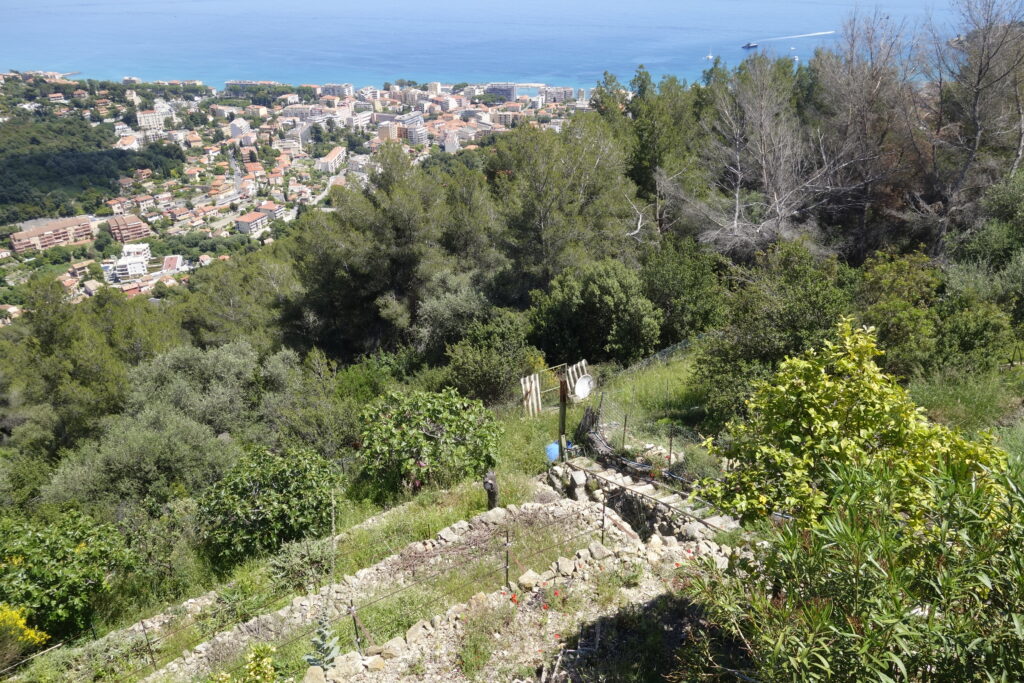 Vue mer panoramique , villa proche Monaco ISM Property