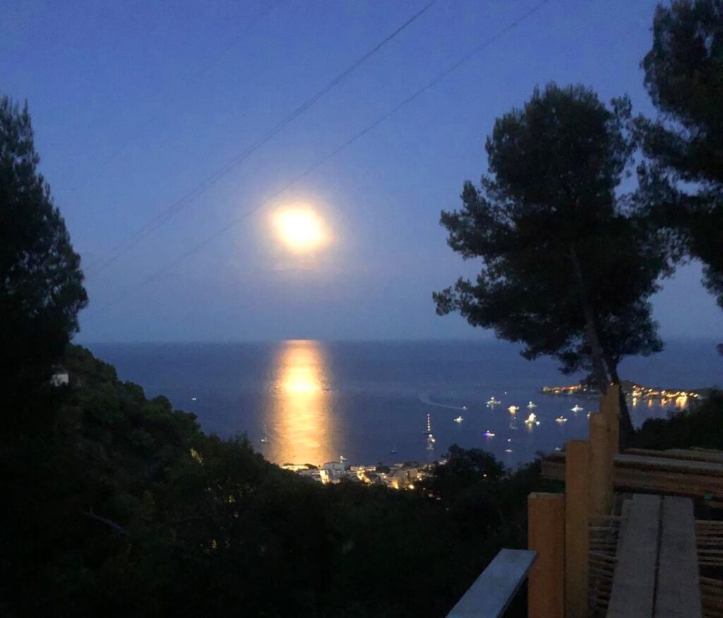 Vue mer et vue de Saint Jean Cap Ferrat, calme ISM Property