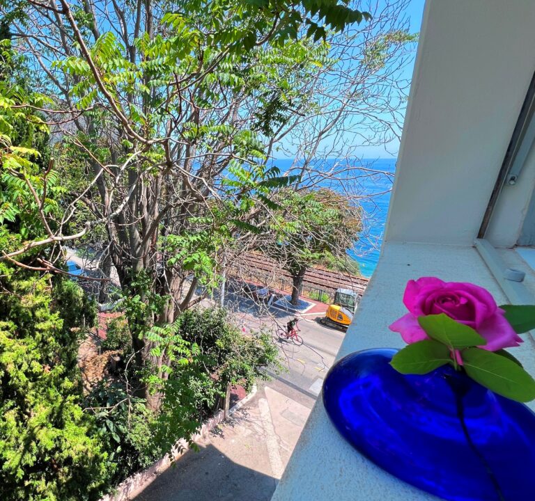 Investment Property in Eze-sur-Mer – 3 Minutes from the Beach ISM Property