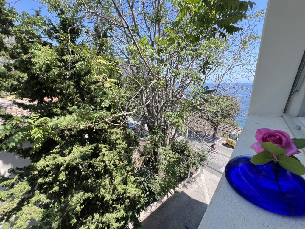 Investment Property in Eze-sur-Mer – 3 Minutes from the Beach ISM Property