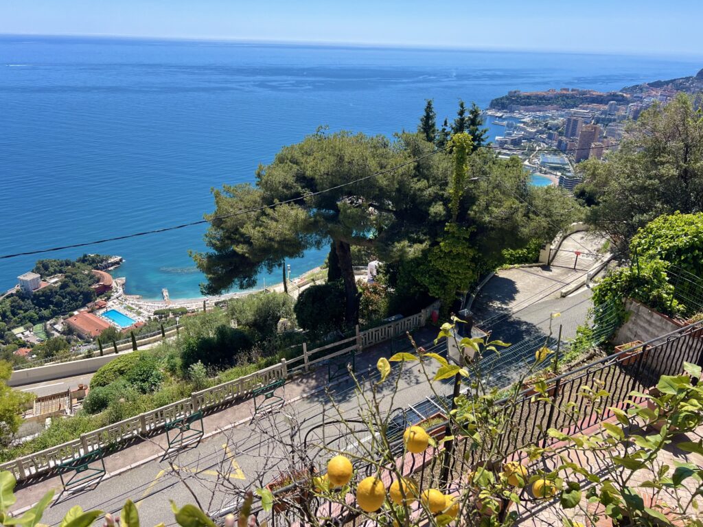 Côte d'azur, proche Monaco , villa avec piscine ISM Property
