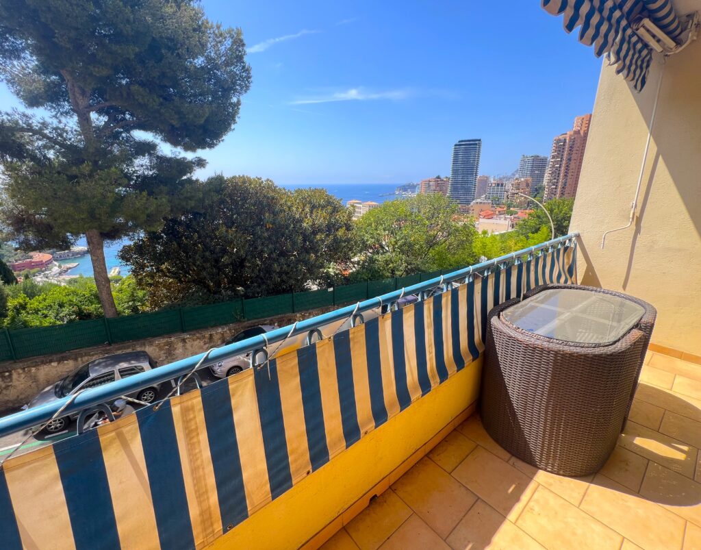 Limitrophe Monaco ,terrasse , garage ISM Property