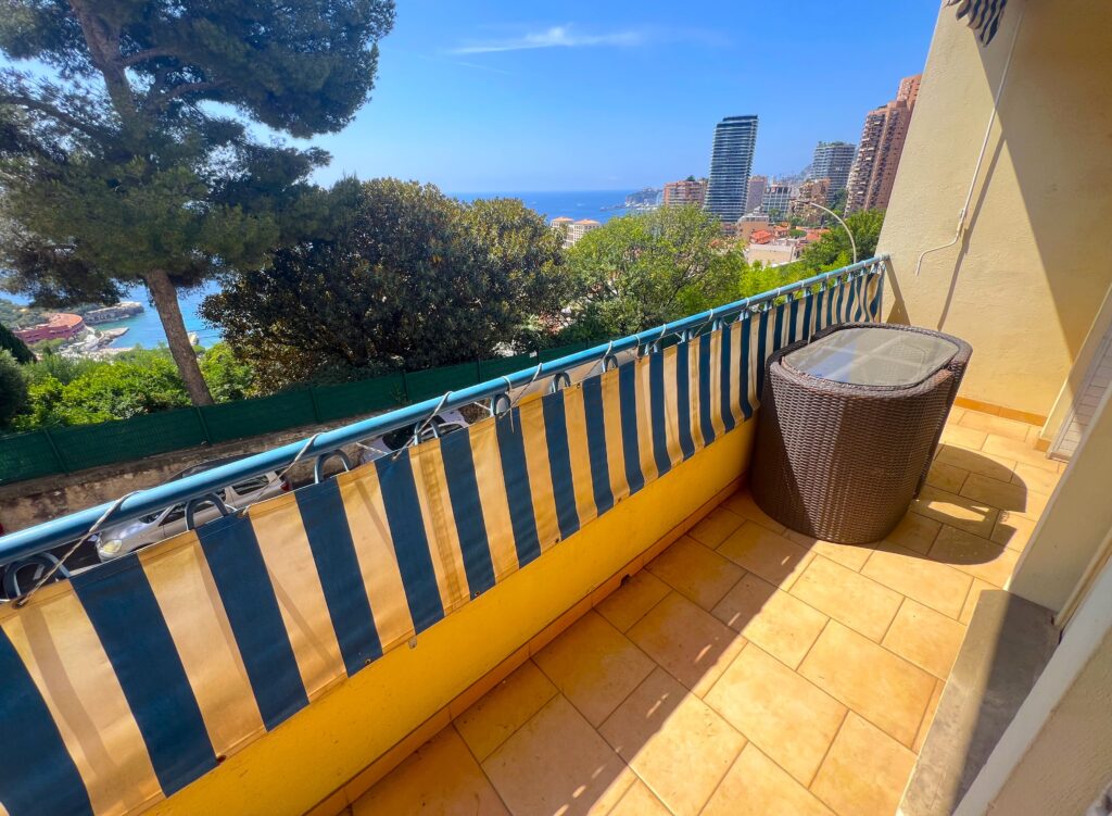 Limitrophe Monaco ,terrasse , garage ISM Property