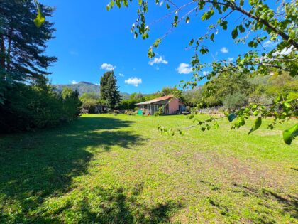 Monaco 40 minutes drive . Flat land of 5 hectares ISM Property