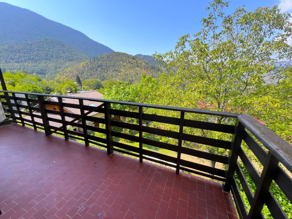 VALDEBLORE ville ,vue , terrasse, proche station de ski La Colmiane ISM Property