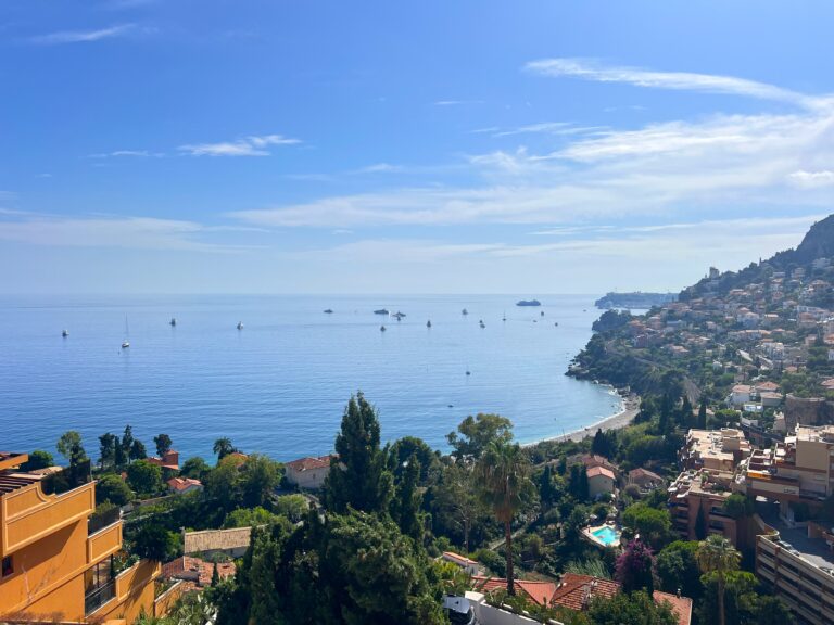 Open sea view and view over Monaco, 3 villas ISM Property