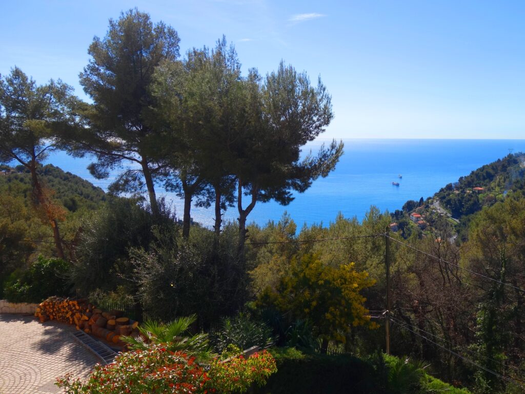 Proche MONACO, vue mer , jardin , jacuzzi ISM Property