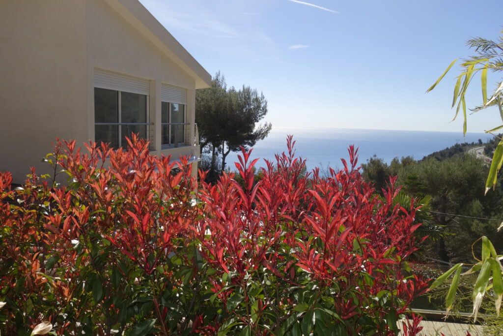 Proche MONACO, vue mer , jardin , jacuzzi ISM Property