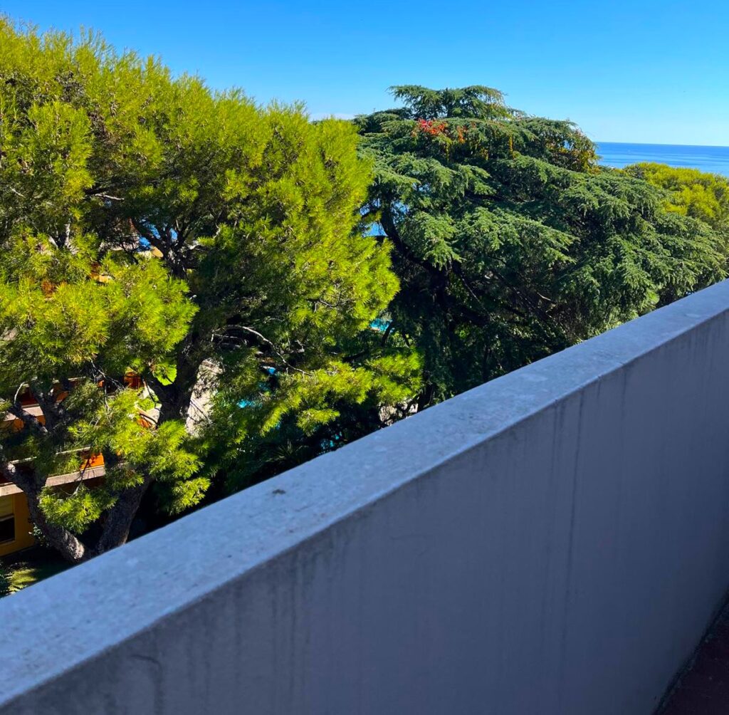 Open sea view, pool, famous luxury building