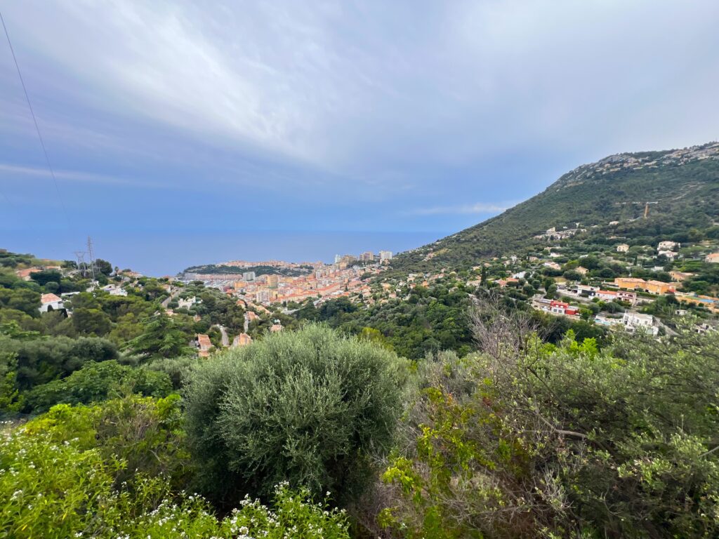 Open view over MONACO, villa to renovation ISM Property