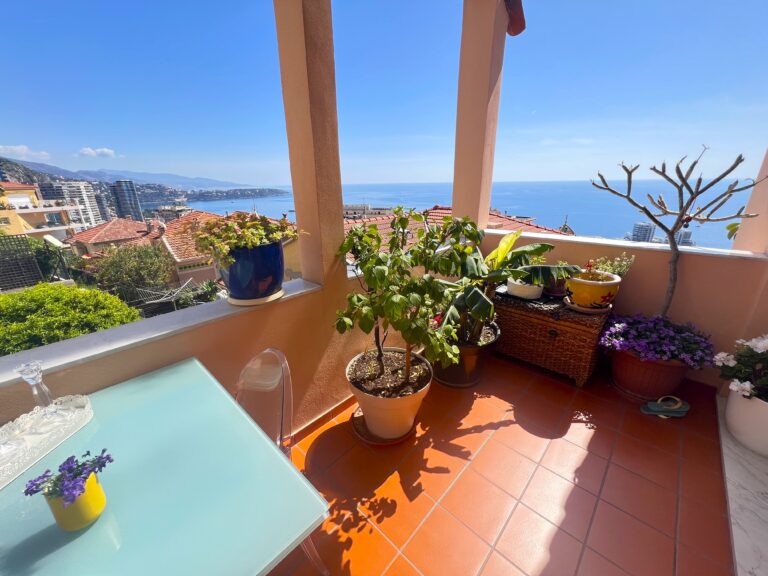 Border MONACO, open sea view ISM Property