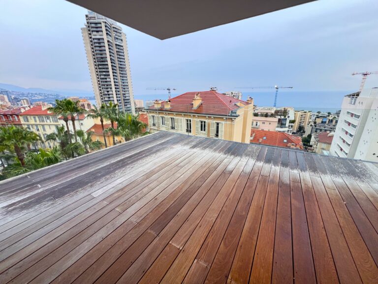 Roof terrace, border Monaco ISM Property