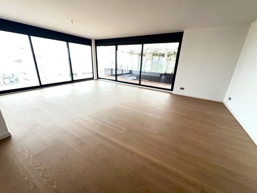 Roof terrace, border Monaco ISM Property