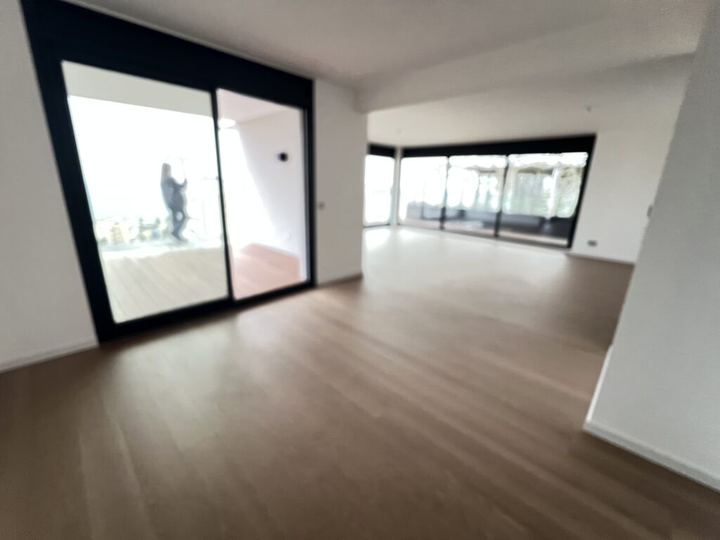 Roof terrace, border Monaco ISM Property