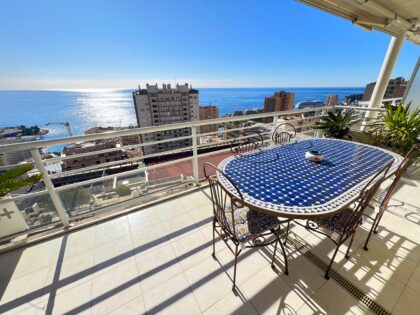 Border MONACO, terrace 60sqm, open sea view ISM Property