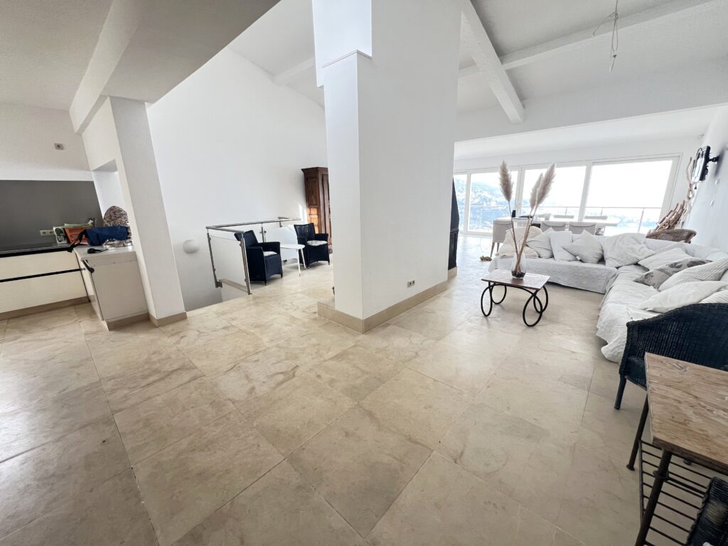 View over MONACO, 300sqm villa ISM Property