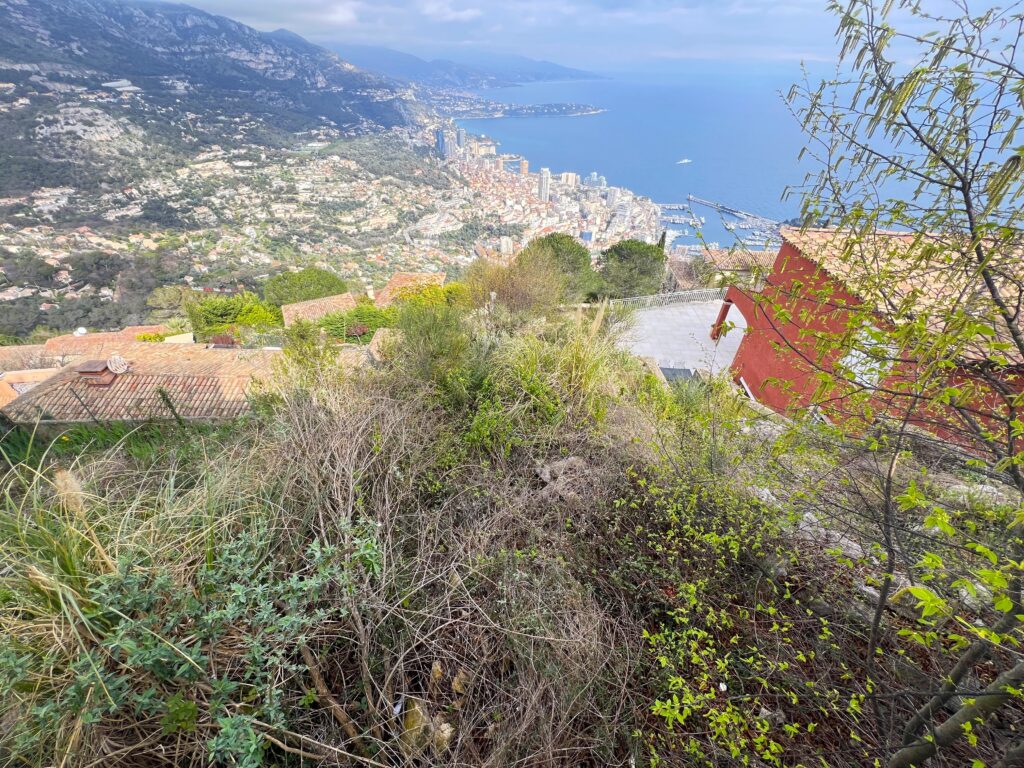 View over MONACO, 300sqm villa ISM Property
