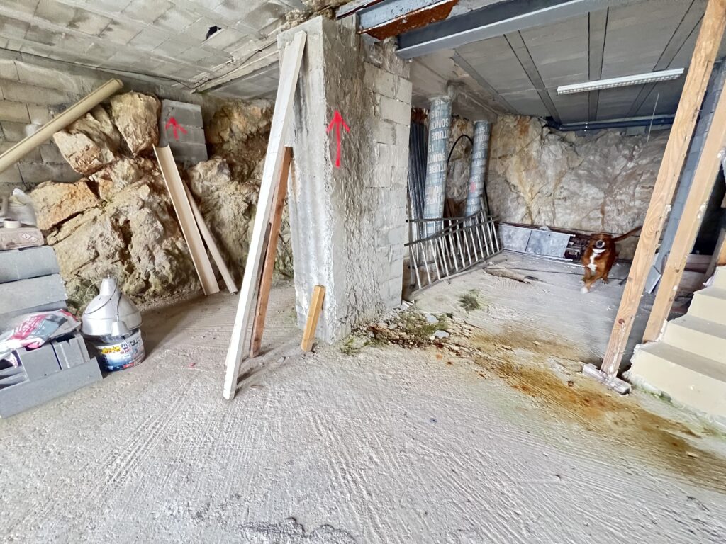 View over MONACO, 300sqm villa ISM Property