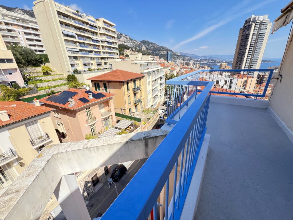 Fantastic sea view , terraces , border MONACO ISM Property