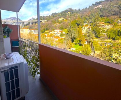 Menton-CARREI , appartement avec terrasse et vue verdures ISM Property
