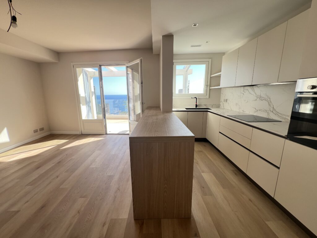 Vue de Monaco et vue mer , jardin privatif ISM Property