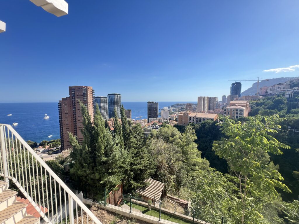 Vue de Monaco et vue mer , jardin privatif ISM Property