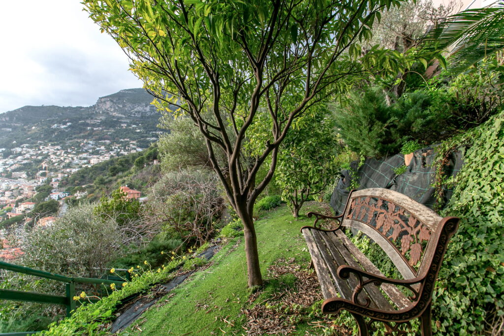 Open sea view and view over Monaco, garden ISM Property