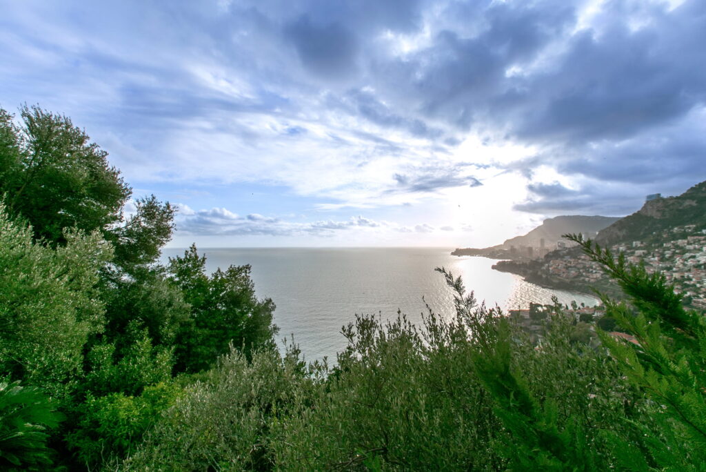 Open sea view and view over Monaco, garden ISM Property