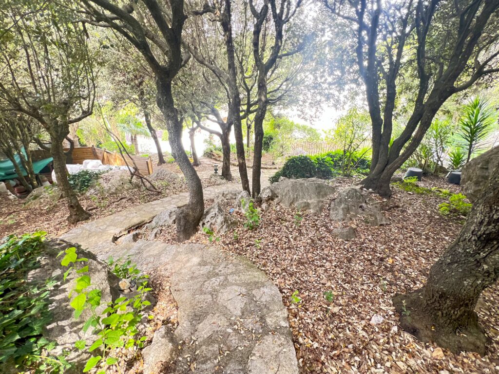 Proche Monaco, basse La Turbie, jardin plat ISM Property