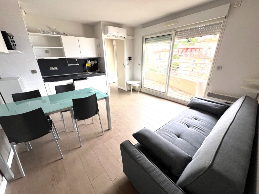 Limitrophe MONACO,garage, terrasse ISM Property